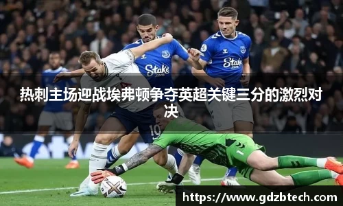 热刺主场迎战埃弗顿争夺英超关键三分的激烈对决
